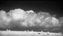 Summer cloudscape